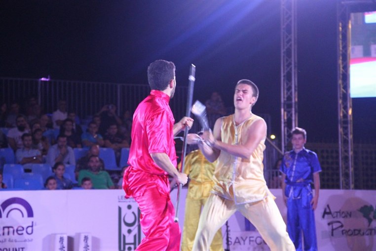 Martial Arts Festival